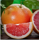 Hydrate My Lips™ Grapefruit and Patchouli Balm - Rebecca's Paradise