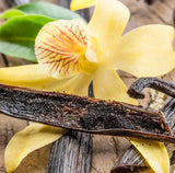 Soft and Dreamy Vanilla Bean body wash