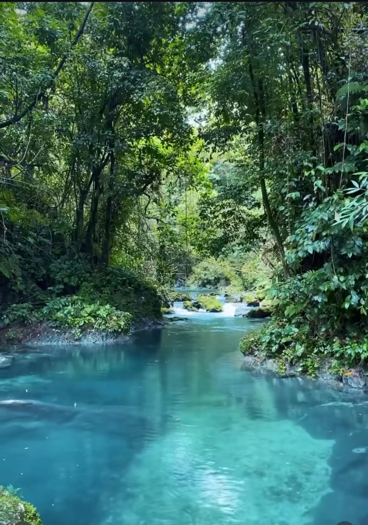 tobacco jungle photos Satyr Jungle Shisha Incorporating natural oils and natural kinds of butter into your bathing routine has numerous skin benefits tobacco jungle photos A tobacco