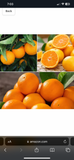 Tropical Sunshine Orange and  Bergamot Body Lotion - Rebecca's Paradise